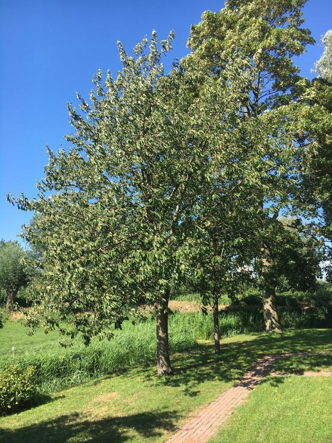 Landelijk Appartement In Een Mooi Recreatiegebied Abcoude Luaran gambar